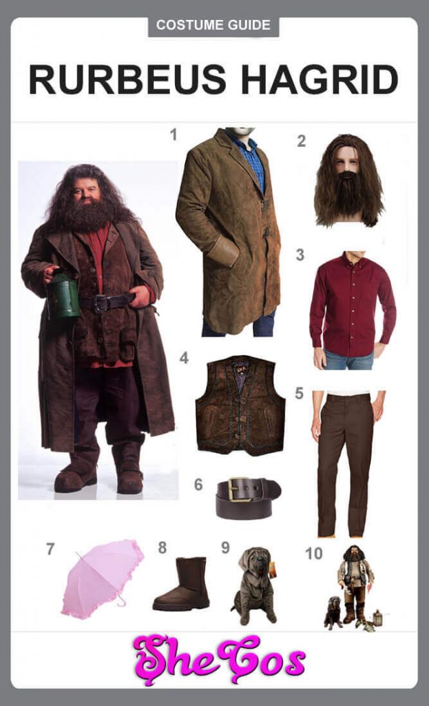 The Complete Guide To Rubeus Hagrid Costume Of Harry Potter Shecos