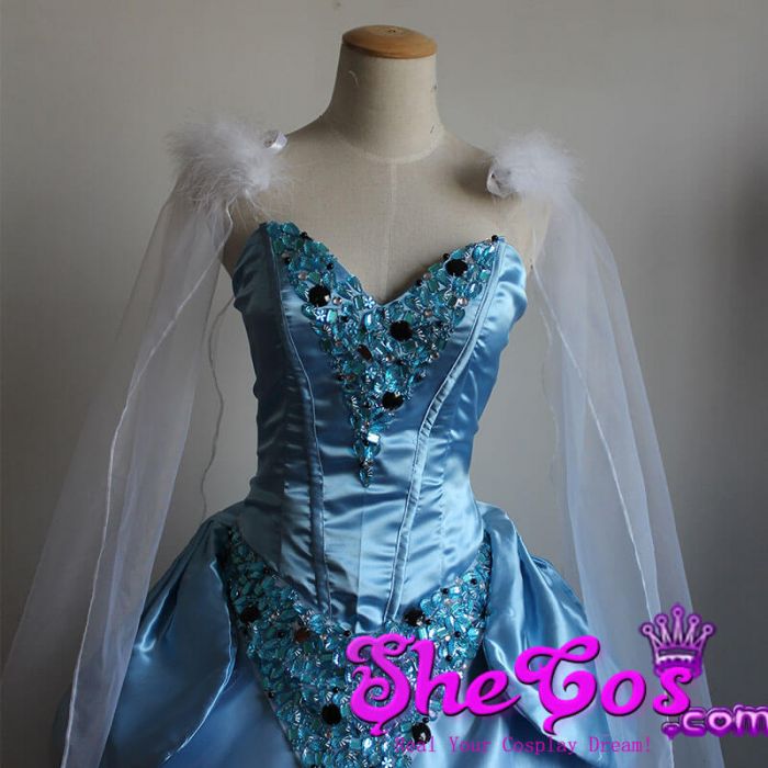 Adult Cinderella Fancy Jeweled Dress